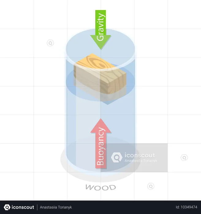 Fuerza de flotación  Ilustración