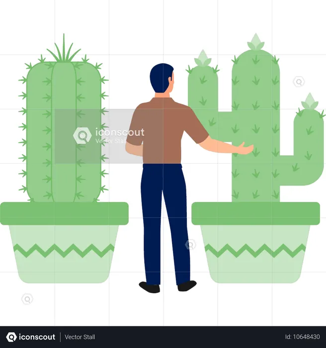 Garçon expliquant les plantes Cereus et Mamillaria  Illustration