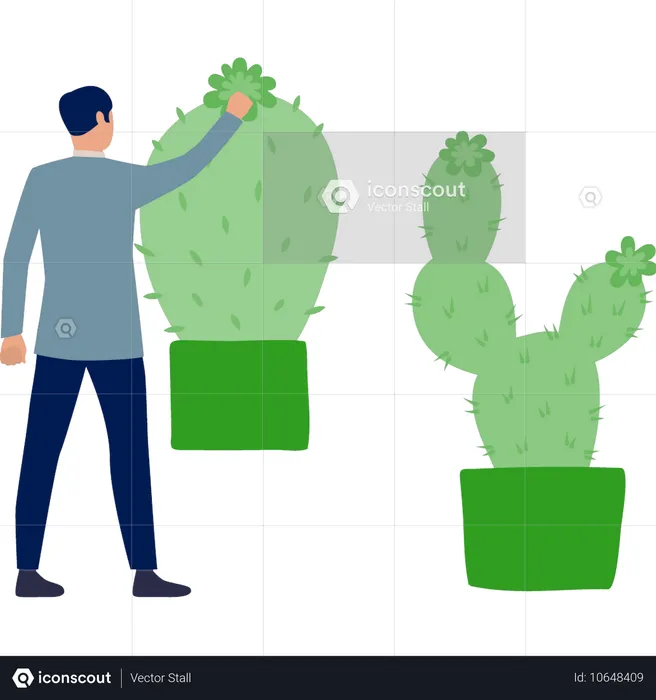 Garçon tenant un cactus  Illustration