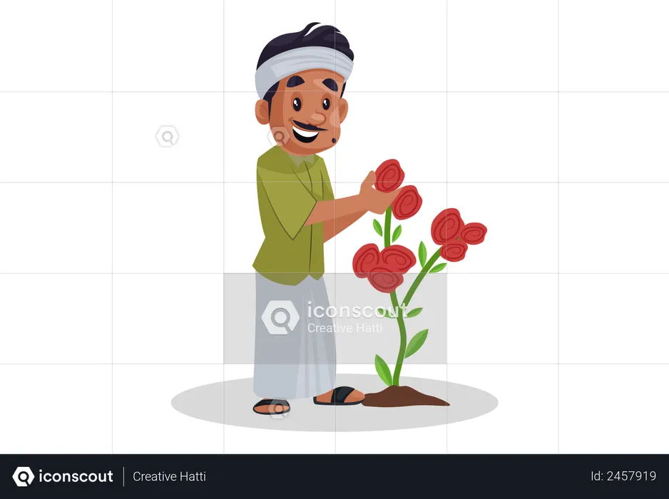 Gardener picking up rose from plant  Illustration
