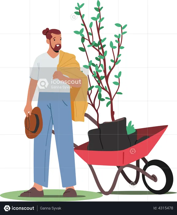 Gardener Planting Tree caring in wheelbarrow  Illustration