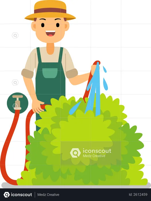 Gardener watering a plant with a watering pot  Illustration