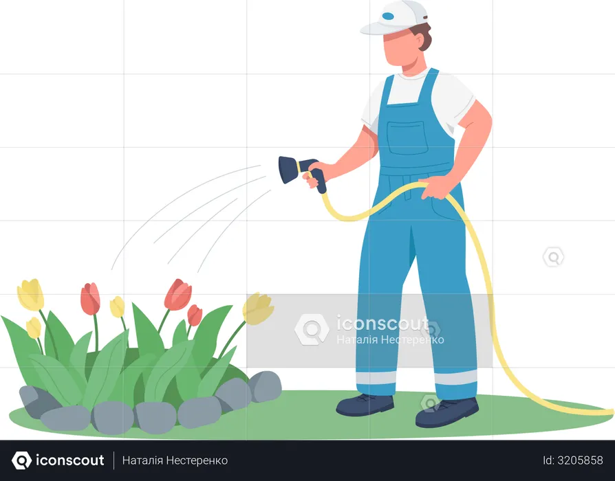 Gardener watering flowerbed  Illustration