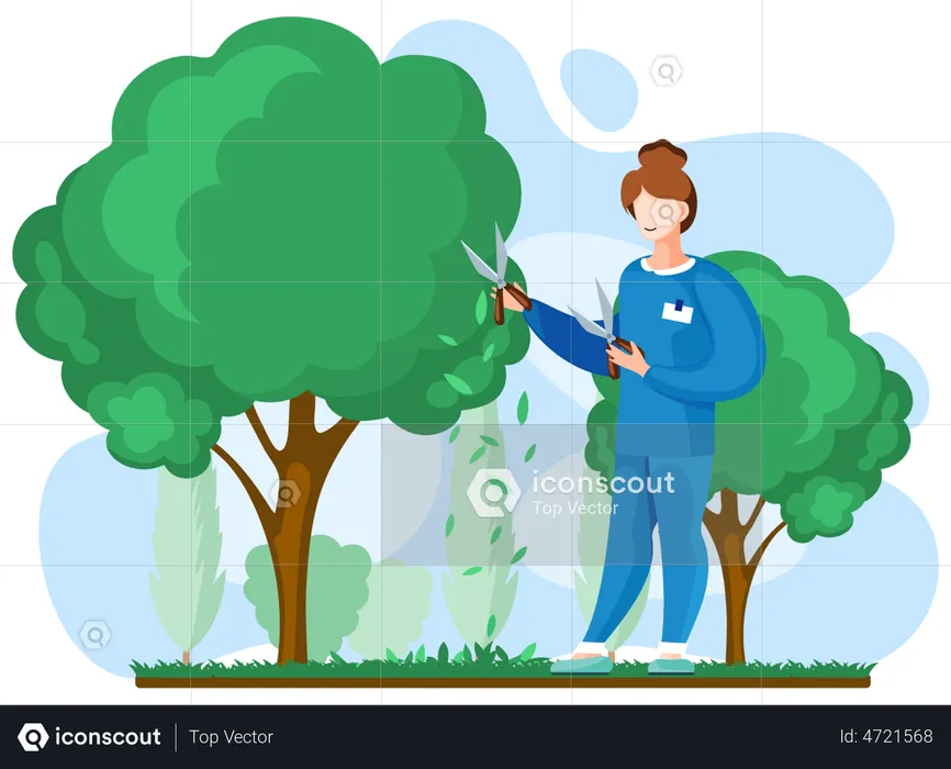 Gardener with scissors cuts big tree and shrub  Illustration