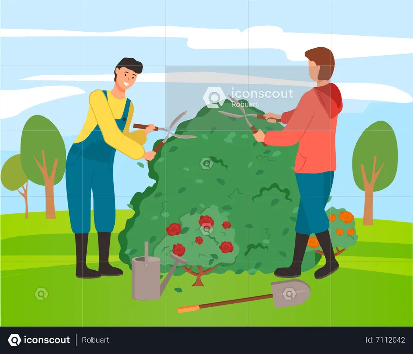Gardeners cutting bushes in the farm  Illustration