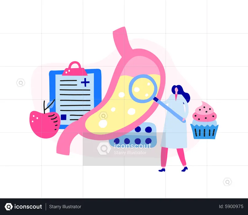 Gastroenterologie  Illustration