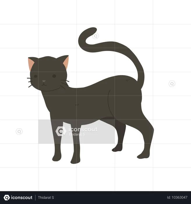 Gato  Ilustração