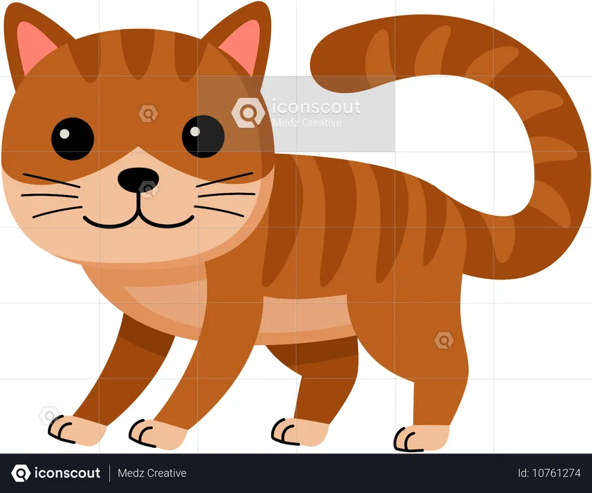 Gato  Ilustração