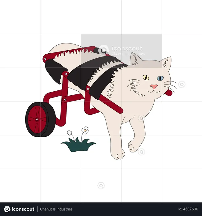 Gato discapacitado caminando con apoyo de silla de ruedas  Ilustración