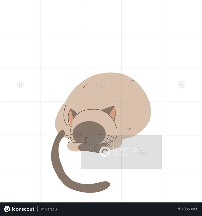 Gato doméstico fofo enrolado em uma pose confortável e aconchegante  Ilustração