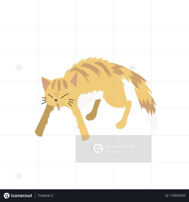 Gato em postura agressiva  Ilustração