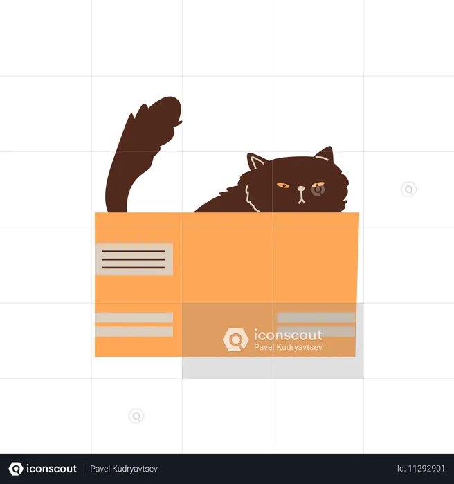 Gato preto fofo e rabugento brincando e sentado em uma caixa de papelão  Ilustração