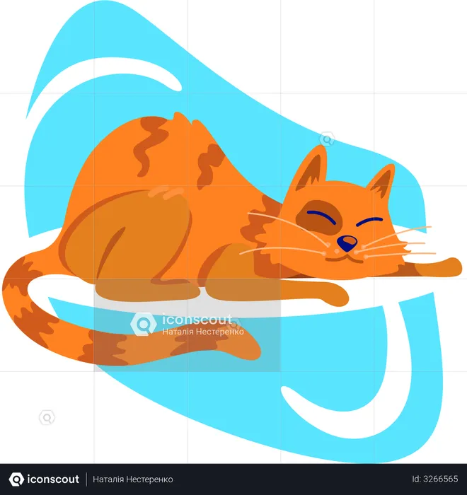 Getigerte Katze  Illustration