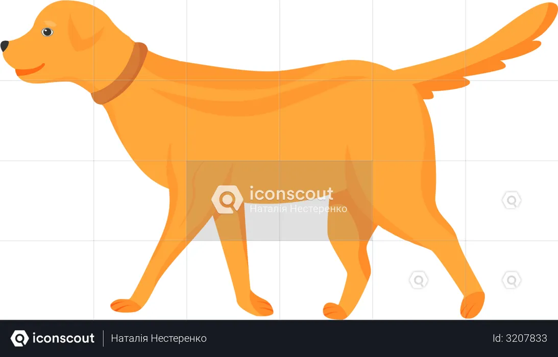 Ginger dog  Illustration