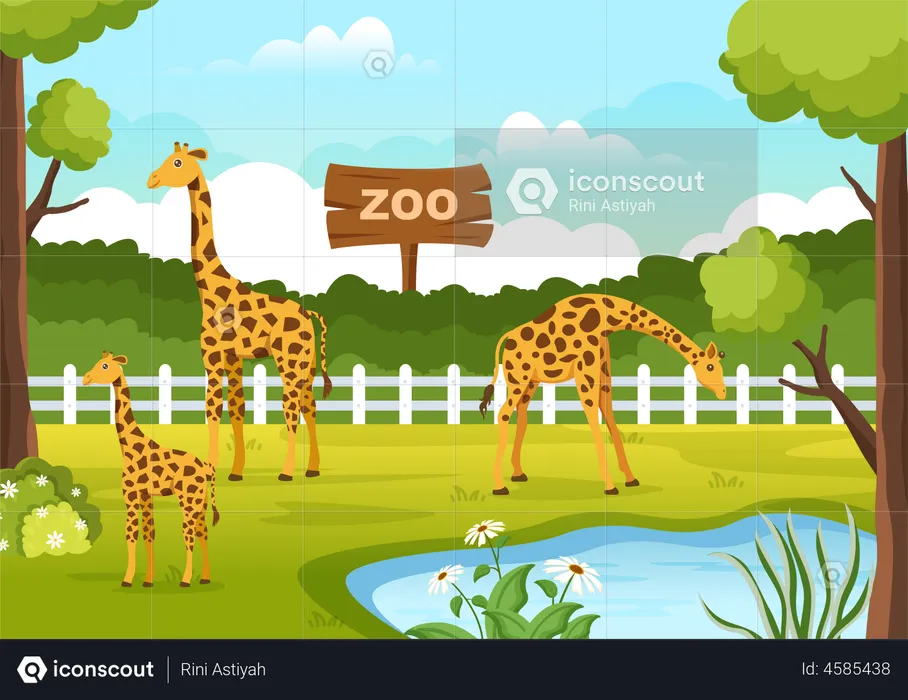Girafe au zoo  Illustration