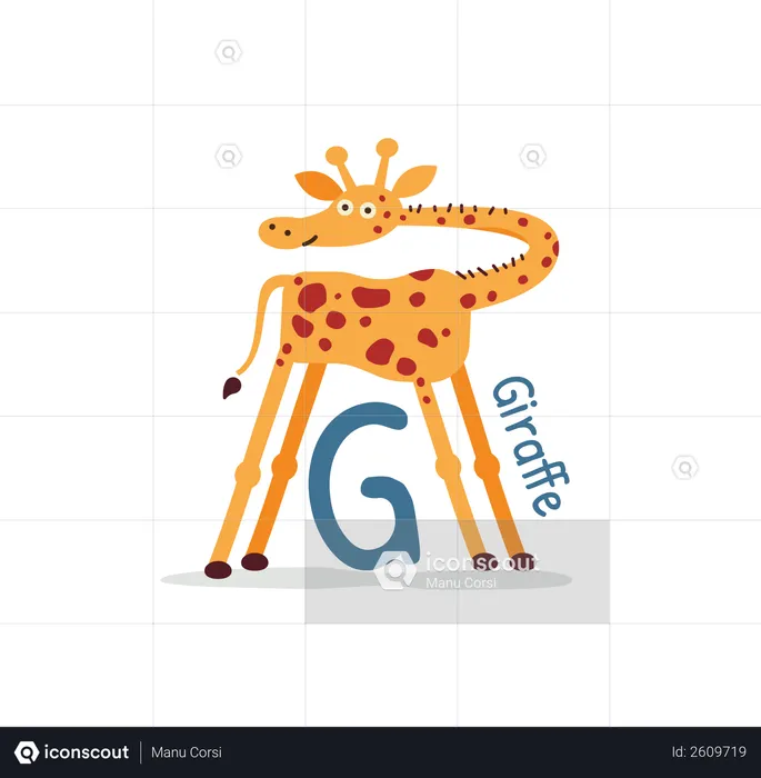 Giraffe  Illustration