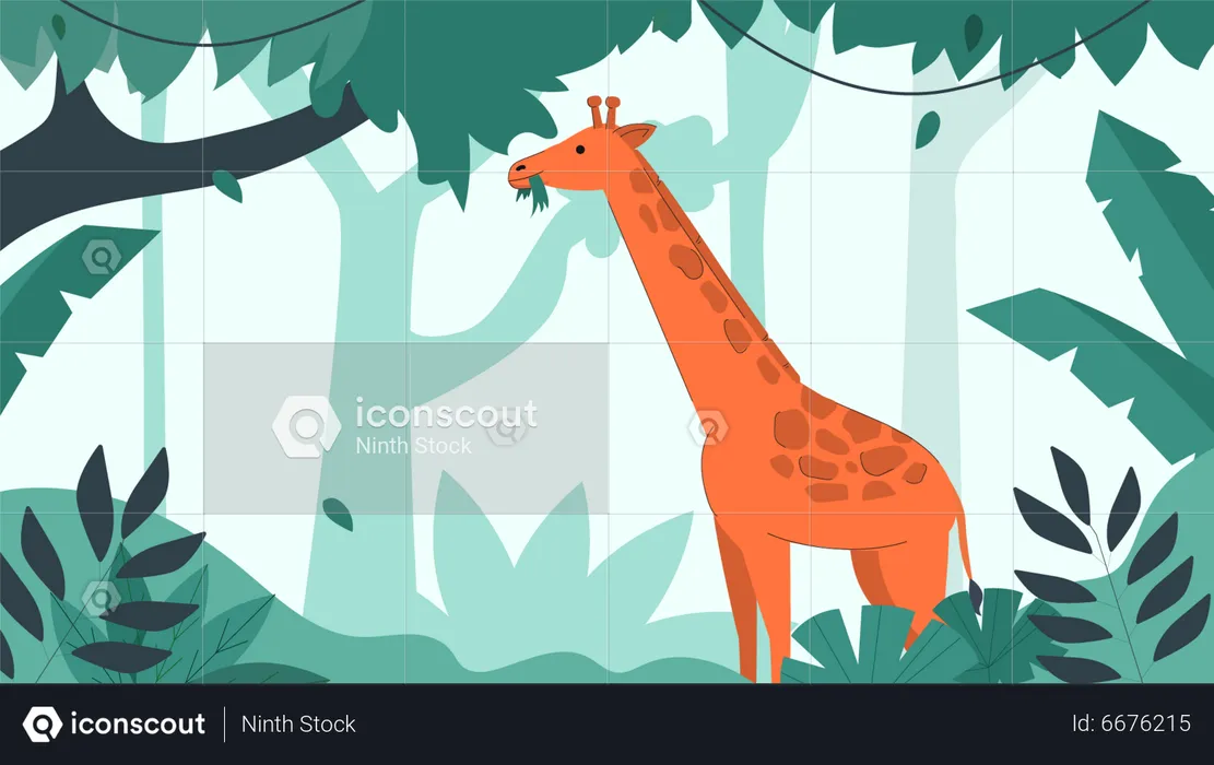 Giraffe in jungle  Illustration