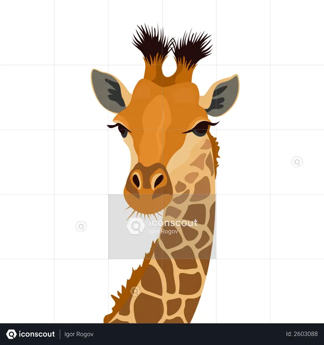 Giraffenkopf  Illustration