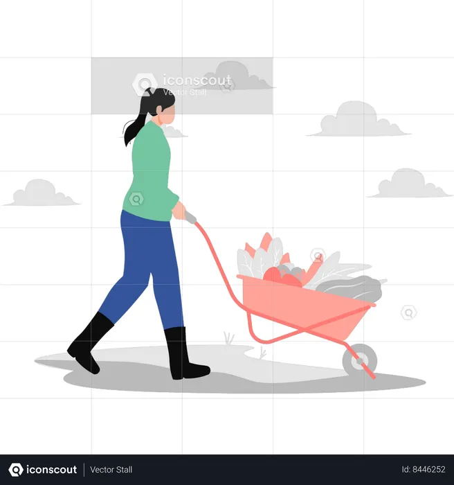 Girl carrying vegetables in wheelbarrow  Illustration