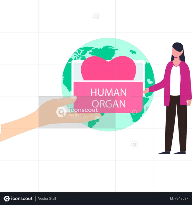 Girl collecting human organ donation  Illustration