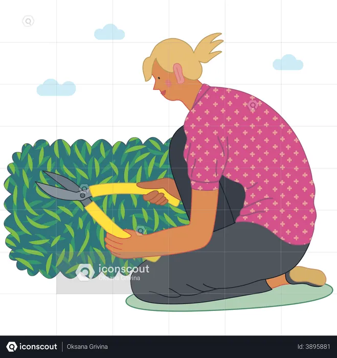 Girl cutting a bush with hedge clippers  Illustration
