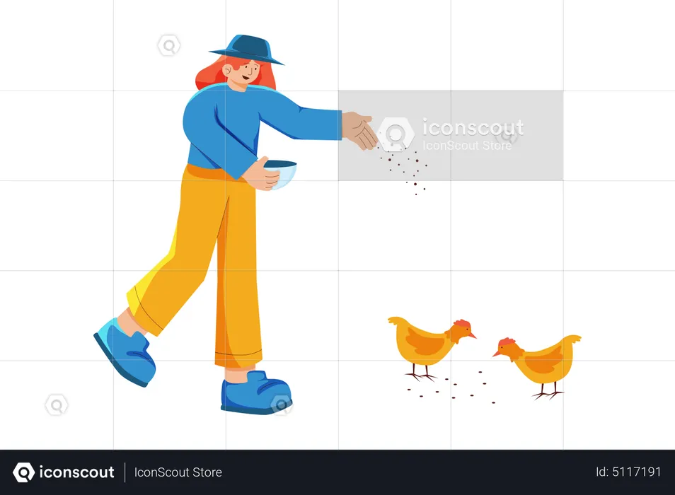 Girl feeding chicken poultry  Illustration