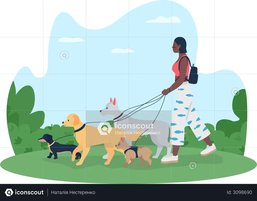 Girl going for walking with dogs  Illustration