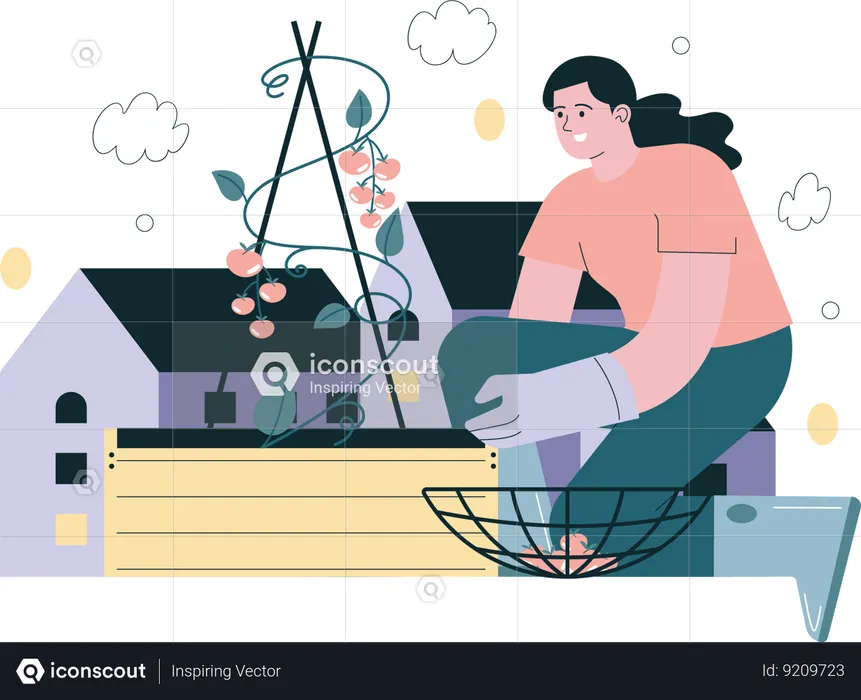 Girl harvesting organic food from terrace garden  Illustration