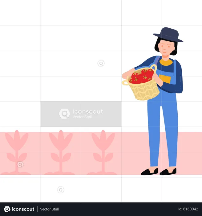Girl holding basket of tomatoes  Illustration