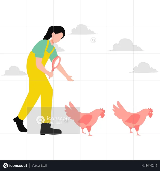 Girl inspecting chicken  Illustration