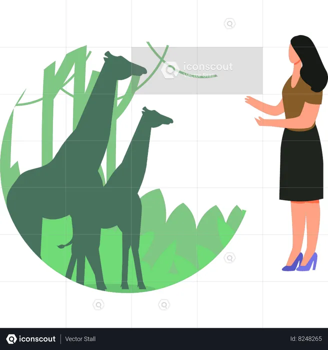Girl is looking at the giraffes  Illustration