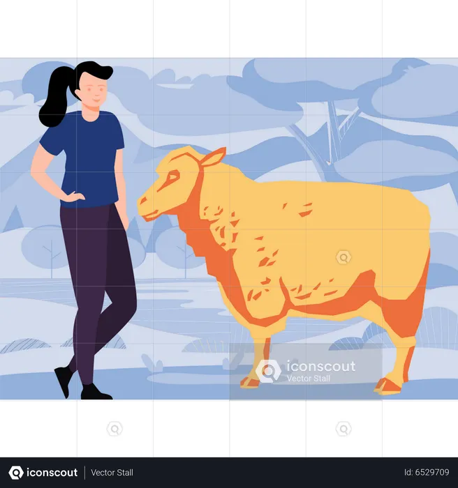 Girl looking at sheep  Illustration