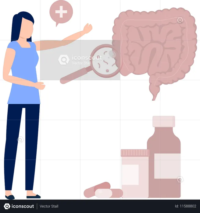 Girl  searching large intestine  Illustration