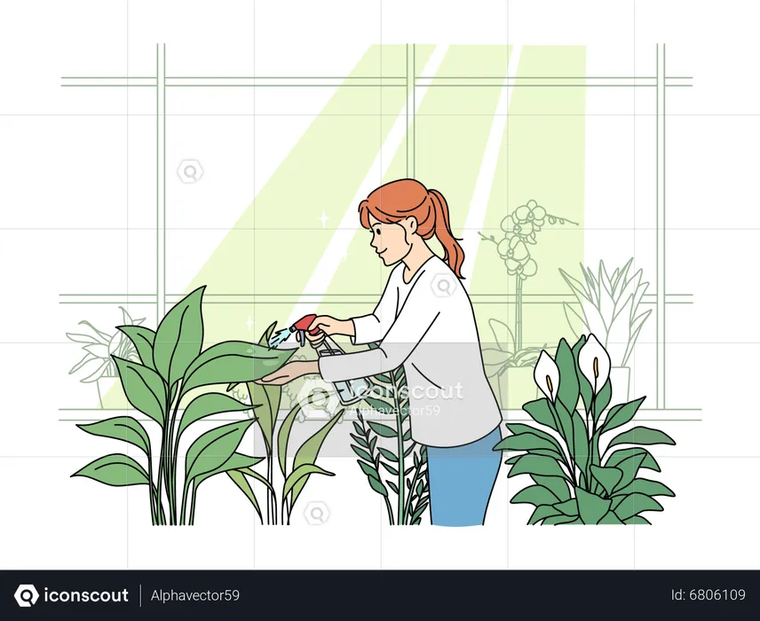 Girl spraying water on plants  Illustration