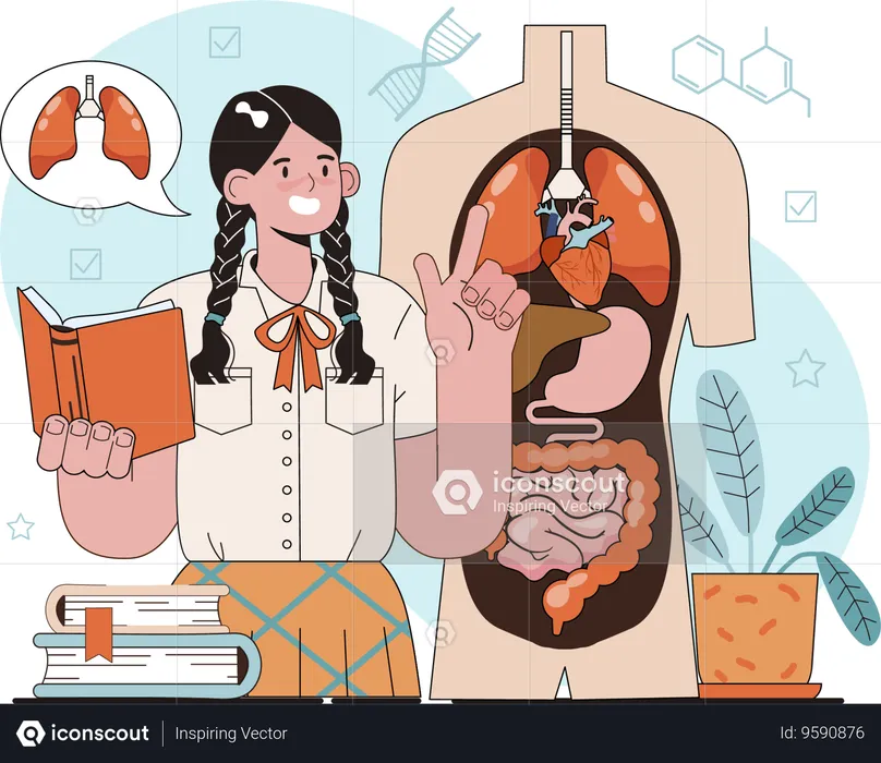 Girl studying on lungs  Illustration