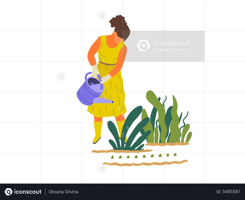 Girl watering to plant  Illustration