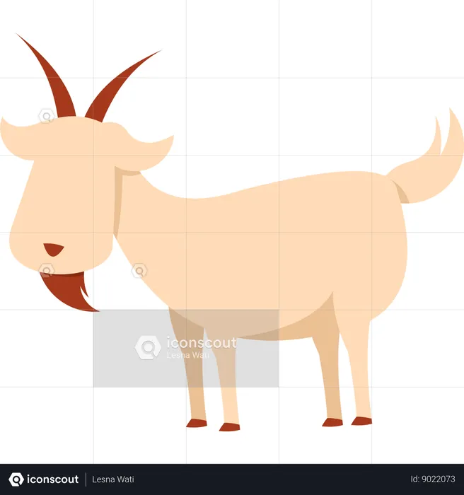Goat  Illustration