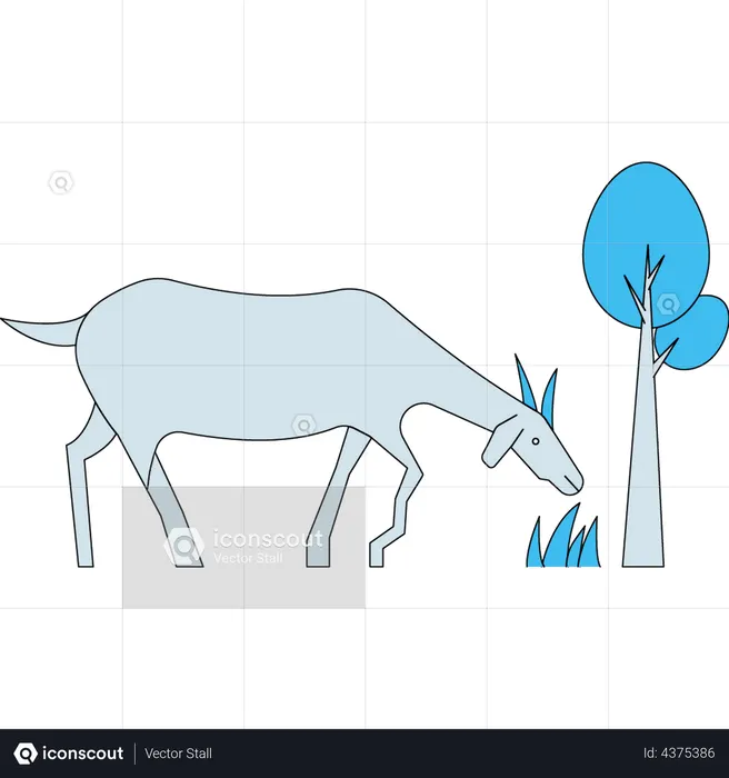 Goat eating the grass  Illustration