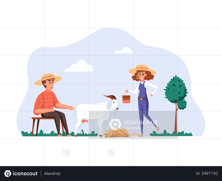 Goat herder feeding goat  Illustration