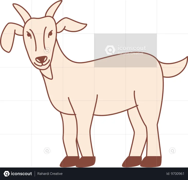 Goat  Illustration