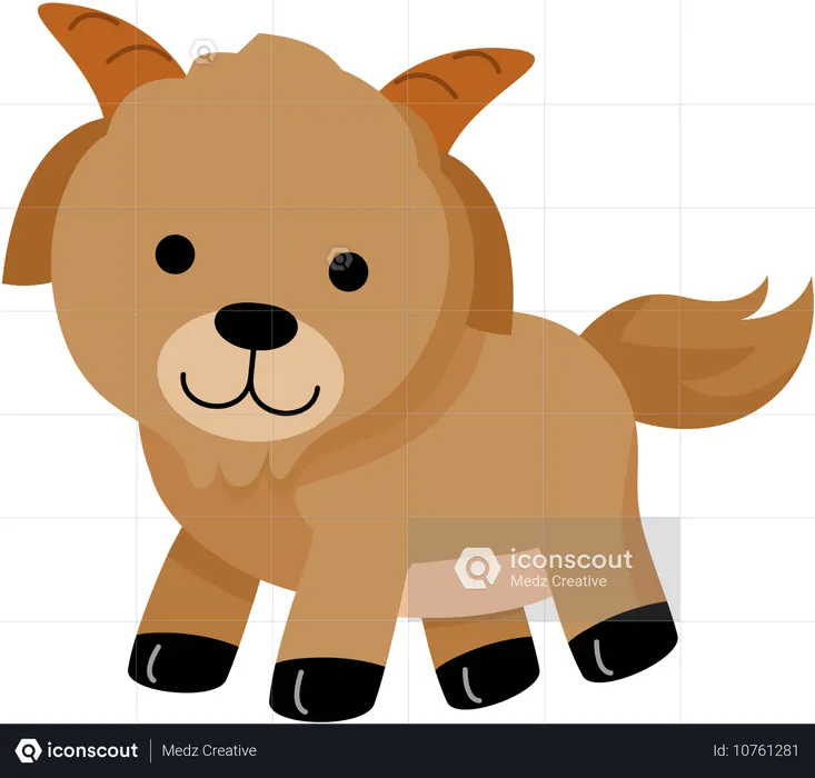 Goat  Illustration