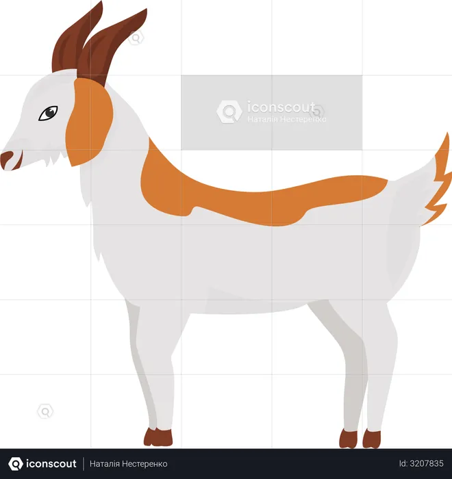 Goat with ginger spots  Illustration