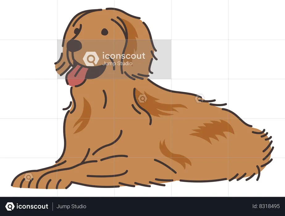 Golden retriever dog  Illustration