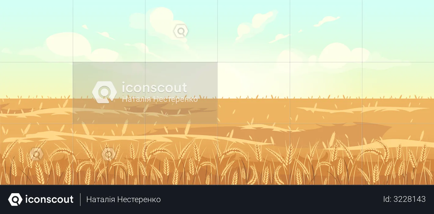Golden wheat field  Illustration