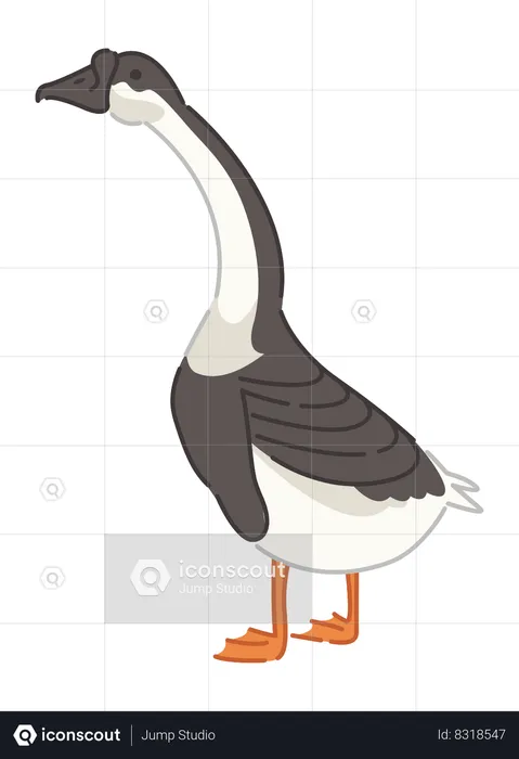 Goose  Illustration