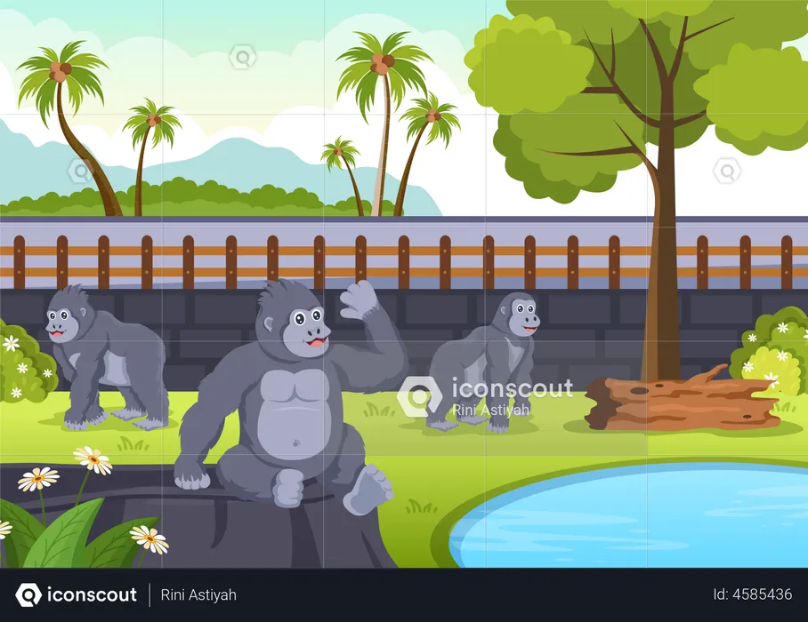 Gorillas in zoo  Illustration