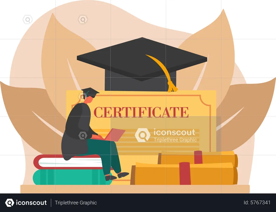Graduate student using laptop  Illustration