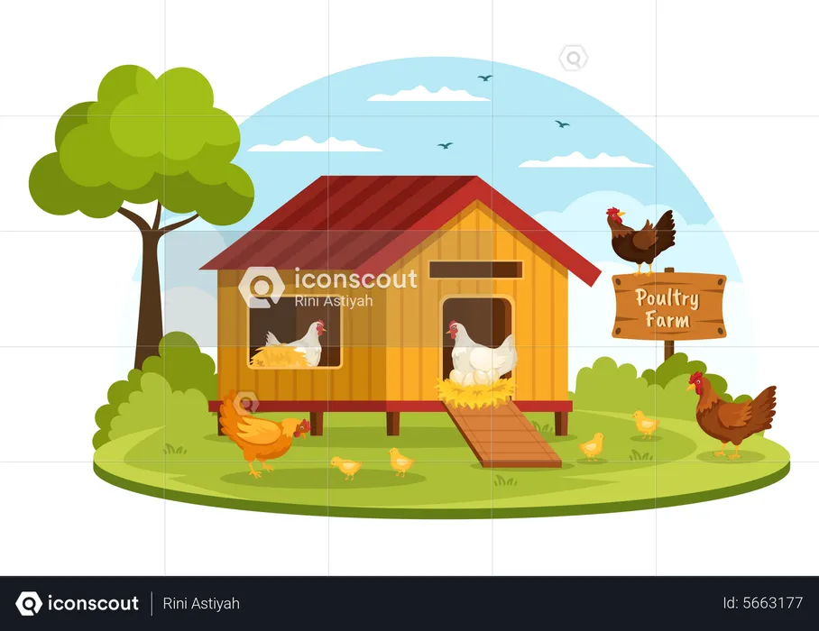 Avicultura  Ilustração