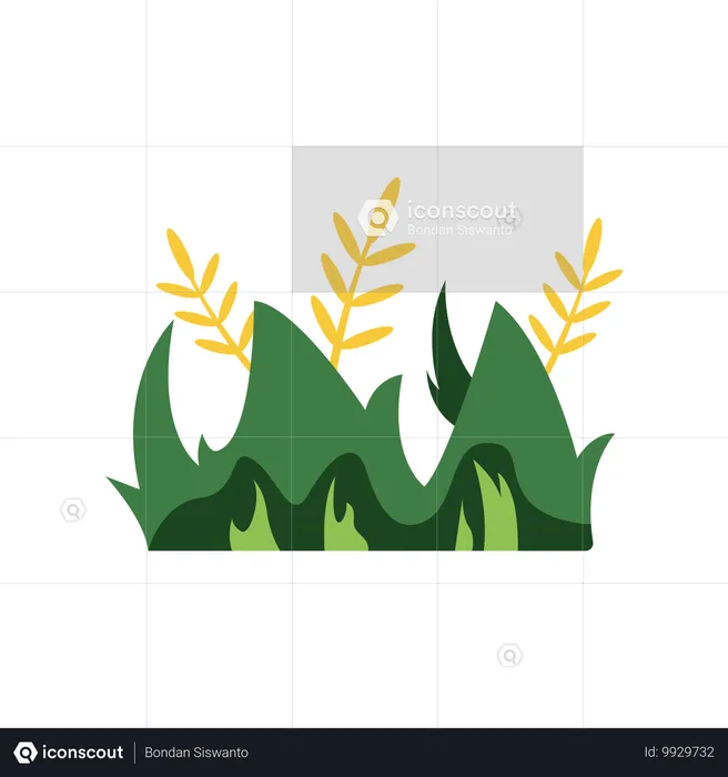 Green Grass  Illustration