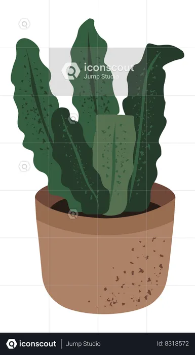 Snake Plant  Illustration